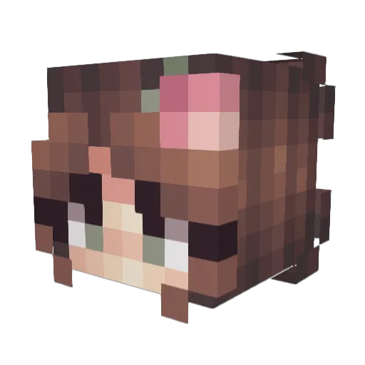 VeroTB Minecraft avatar head, 3D render