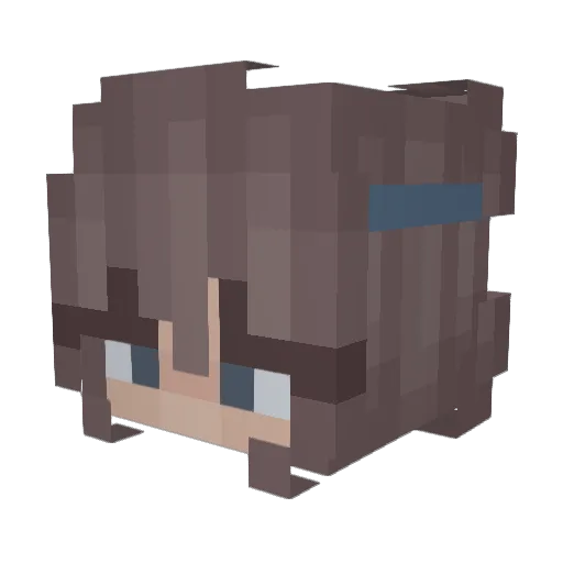 Veroli Minecraft avatar head, 3D render
