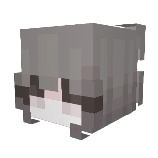 Veron278 Minecraft avatar head, 3D render