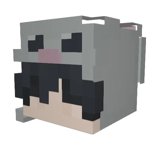 Veron512 Minecraft avatar head, 3D render