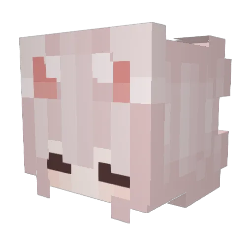 Veroness Minecraft avatar head, 3D render