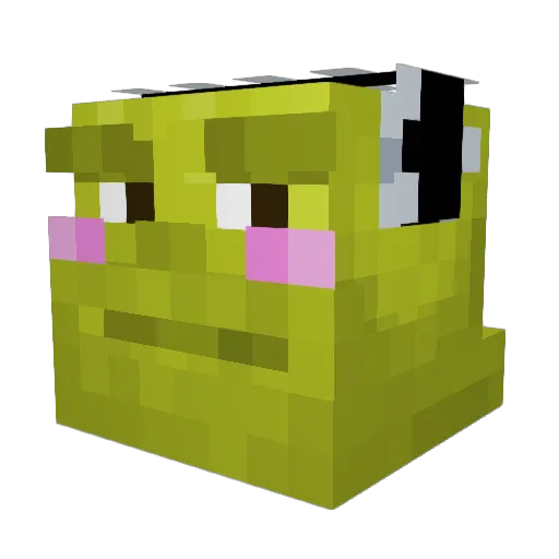 Veronezzzzz Minecraft avatar head, 3D render