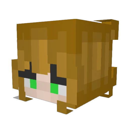 Veronica206 Minecraft avatar head, 3D render