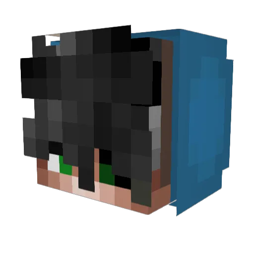 Veroxbtw_ Minecraft avatar head, 3D render