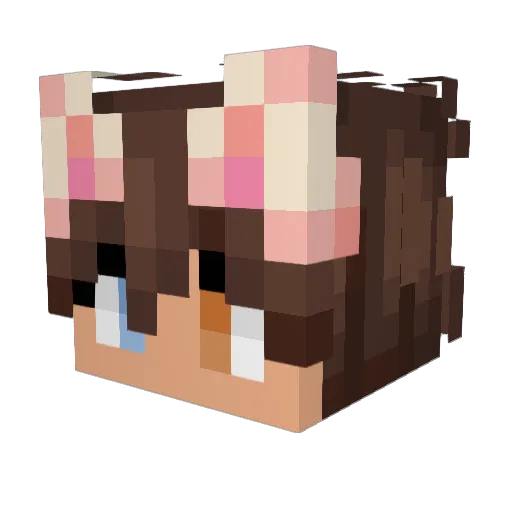 Verrateren Minecraft avatar head, 3D render
