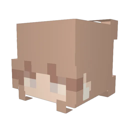 VersedSplash700 Minecraft avatar head, 3D render