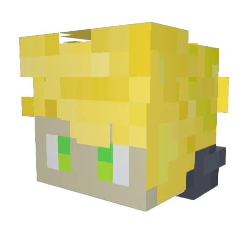 Versteinert_ Minecraft avatar head, 3D render