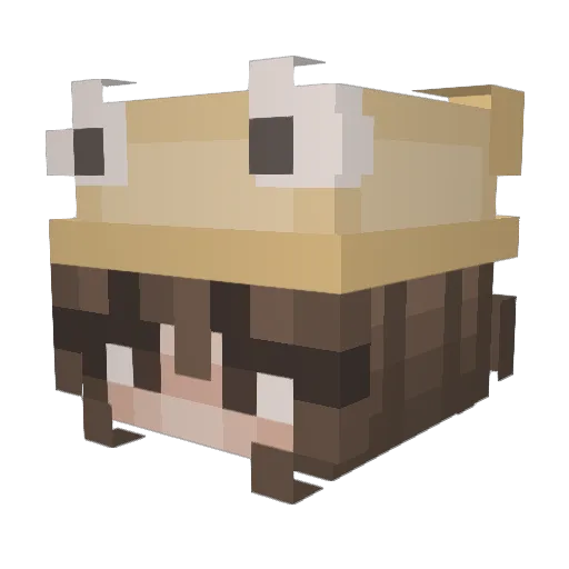 VerteCraft Minecraft avatar head, 3D render
