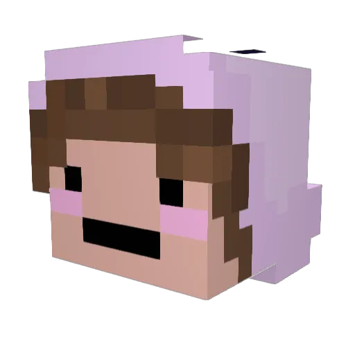 VerticallyInsane Minecraft avatar head, 3D render