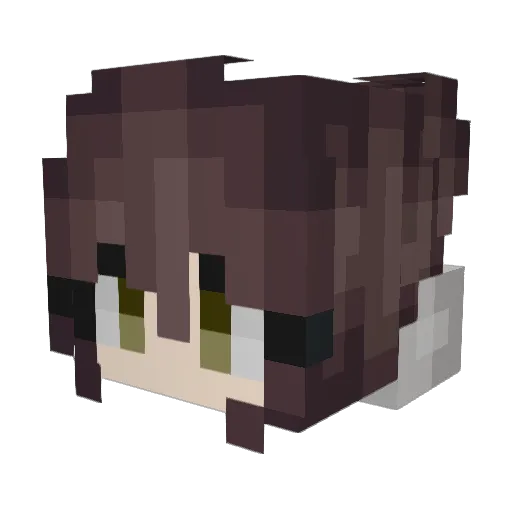 VertinEx Minecraft avatar head, 3D render