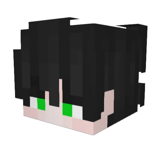 VertinPlayz Minecraft avatar head, 3D render
