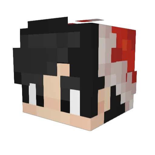 Vertizyo Minecraft avatar head, 3D render