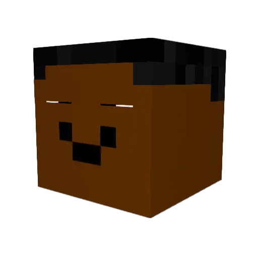 Vertr4venslehrer Minecraft avatar head, 3D render