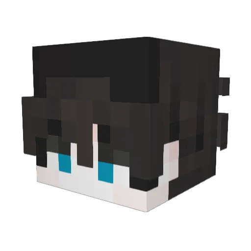 Vertraubarer Minecraft avatar head, 3D render