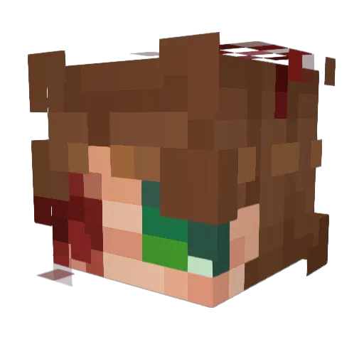 VerumCarnis Minecraft avatar head, 3D render