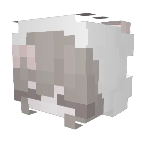 VerusBungee Minecraft avatar head, 3D render