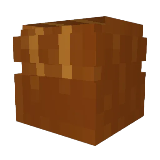 VeryBigBunda Minecraft avatar head, 3D render