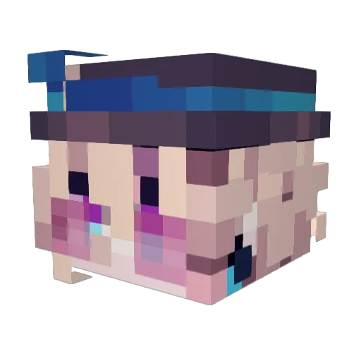 VeryDumNird Minecraft avatar head, 3D render