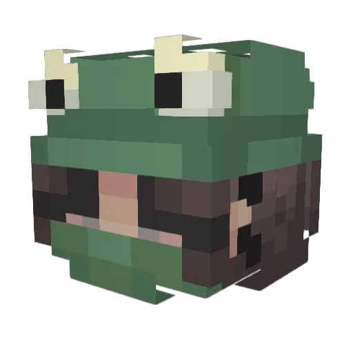 VeryFroggy Minecraft avatar head, 3D render