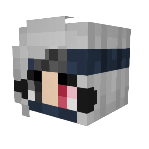 VeryGreenBeans Minecraft avatar head, 3D render