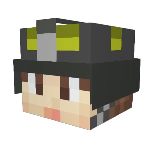 VeryHaus Minecraft avatar head, 3D render