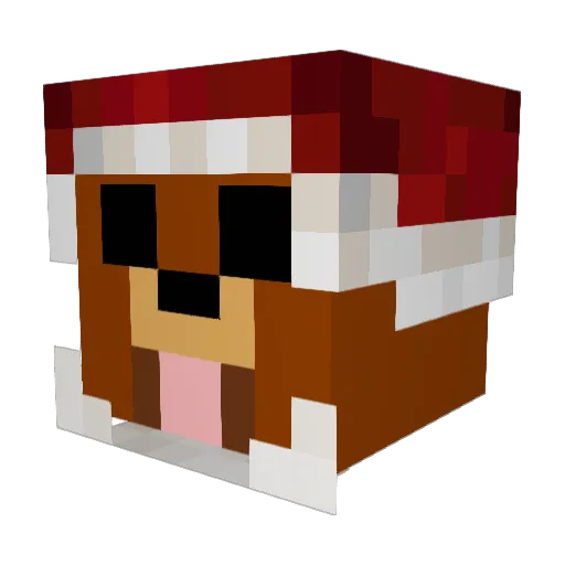 VeryMeatBurger Minecraft avatar head, 3D render
