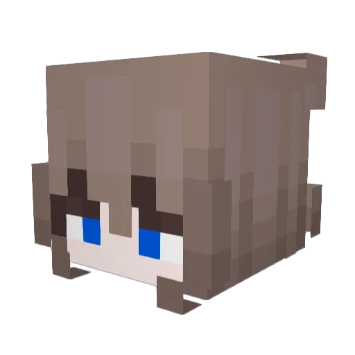 VerySeriousCat72 Minecraft avatar head, 3D render