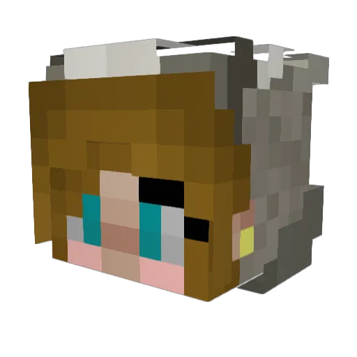 VerySmol_YT Minecraft avatar head, 3D render