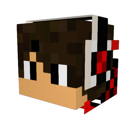 VerySpecial Minecraft avatar head, 3D render