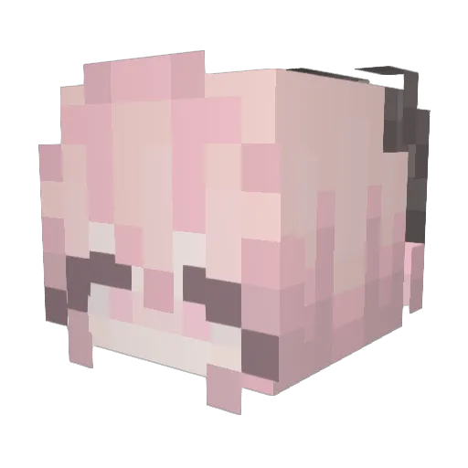 VeryTiredPig Minecraft avatar head, 3D render