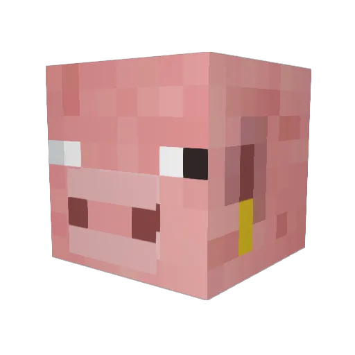 VeryWetDuck Minecraft avatar head, 3D render