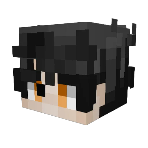 VerydMC Minecraft avatar head, 3D render