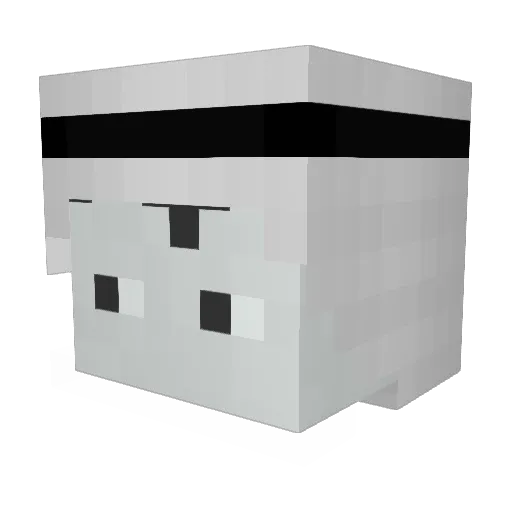 Verzide23 Minecraft avatar head, 3D render