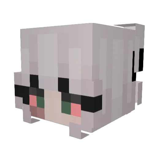 VespaNera_ Minecraft avatar head, 3D render