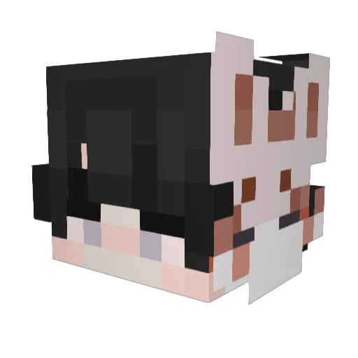 VesperSage Minecraft avatar head, 3D render