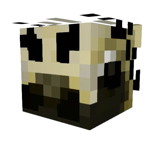 Vesphex Minecraft avatar head, 3D render