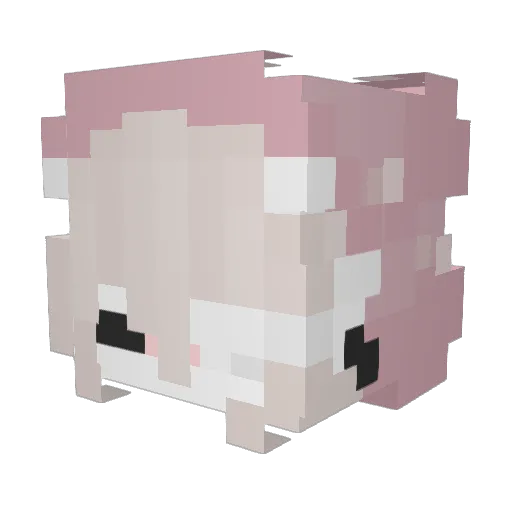 VesselSoul Minecraft avatar head, 3D render