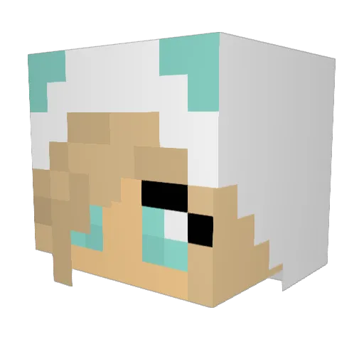 Vestby300 Minecraft avatar head, 3D render