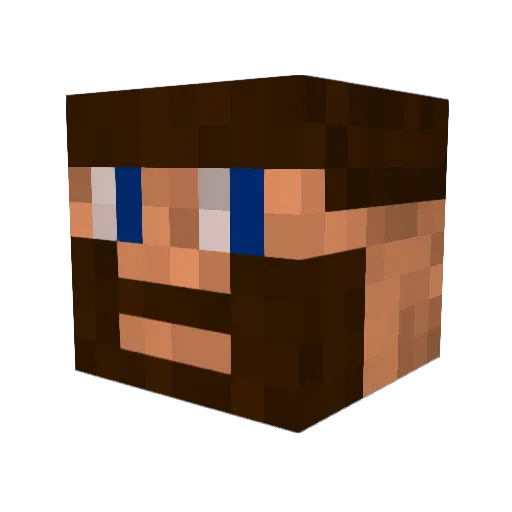 Vesticles3562 Minecraft avatar head, 3D render