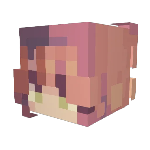 Vestinel22 Minecraft avatar head, 3D render