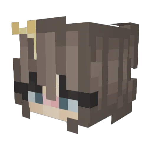 VesuvianSkink9 Minecraft avatar head, 3D render