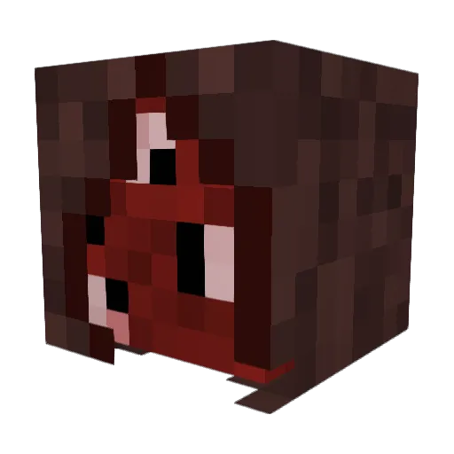 Vesuvianrug4 Minecraft avatar head, 3D render