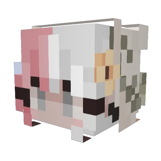 Veszel Minecraft avatar head, 3D render