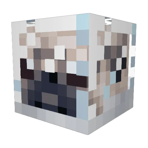 Vet_Leuk Minecraft avatar head, 3D render