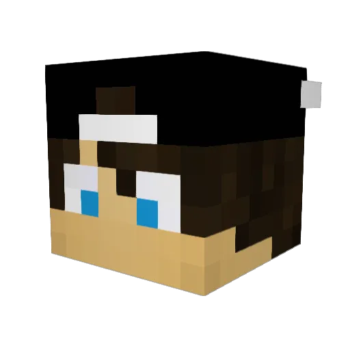 Veterano123 Minecraft avatar head, 3D render