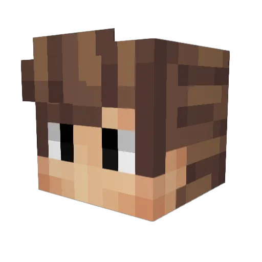 Veto_Delighter Minecraft avatar head, 3D render