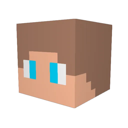 Vex33 Minecraft avatar head, 3D render