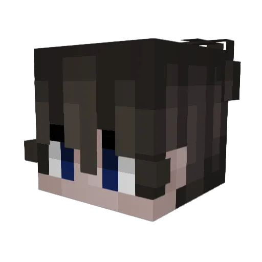 Vex747 Minecraft avatar head, 3D render