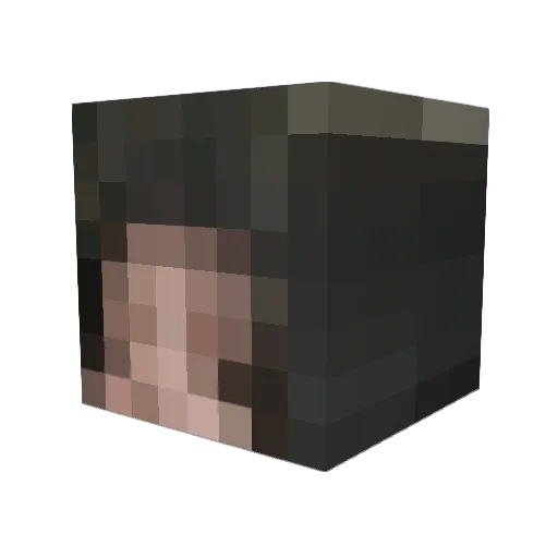 VexBolts42 Minecraft avatar head, 3D render