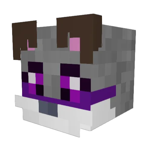 VexDaFoxx Minecraft avatar head, 3D render